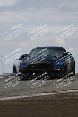 media/Mar-30-2025-Speed Ventures (Sun) [[39e6b1441d]]/Black/Session 2 (Grapevine)/
